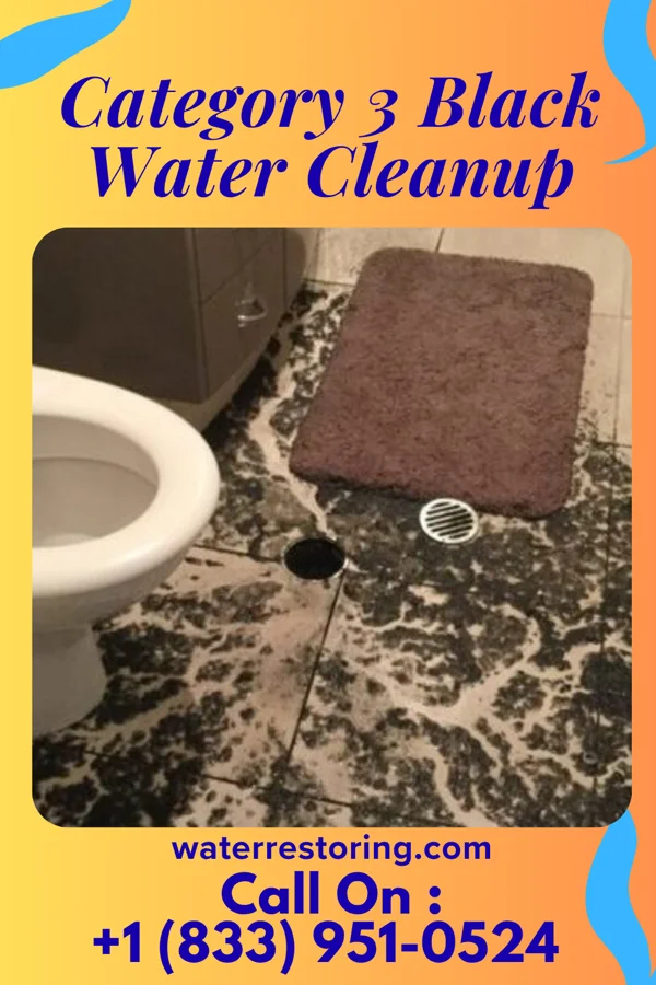 Category 3 Black Water Cleanup in Lehigh, KS