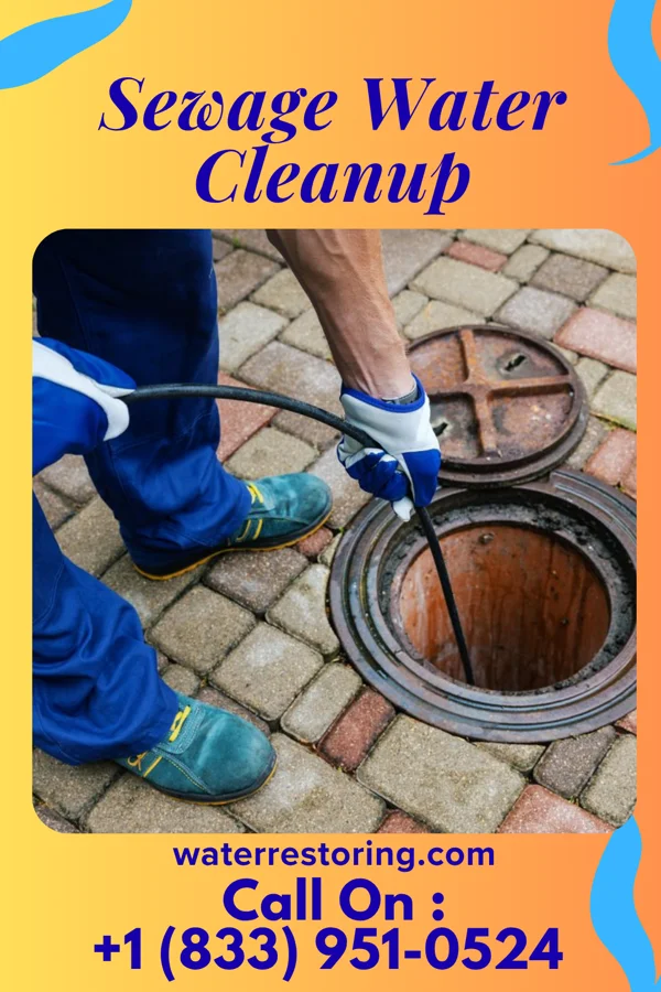 Sewage Water Cleanup in Lehigh, KS