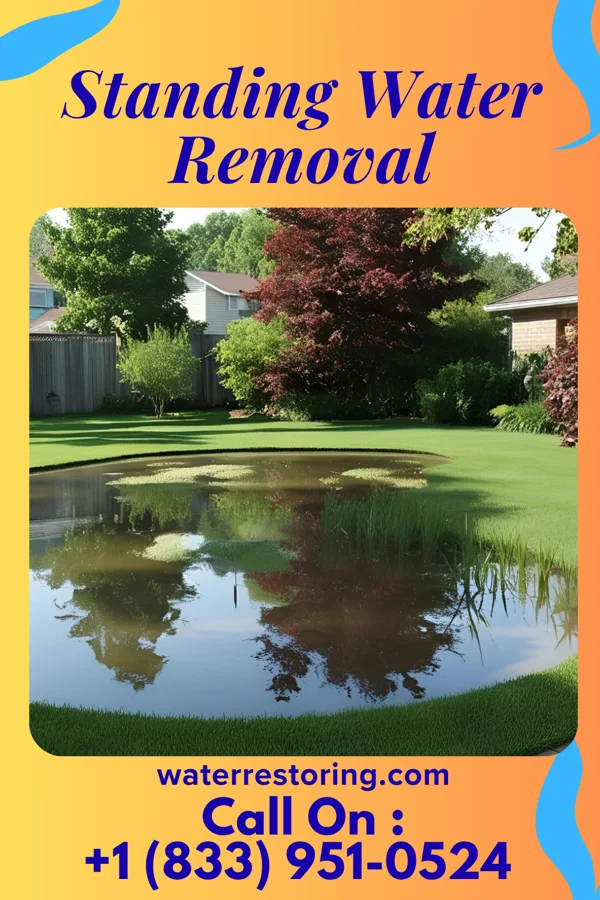 Standing Water Removal in Lehigh, KS